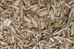 biomass boilers Clayhall
